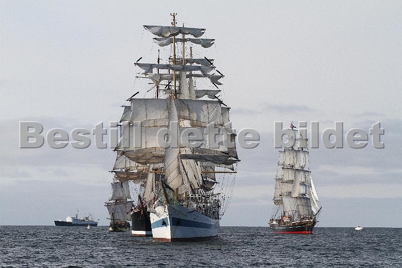 TSR2011_2 370.JPG
